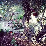 Villa Private Demetra 1768 With Pool - Close To